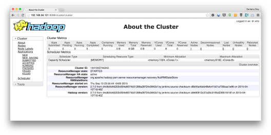 Hadoop Cluster